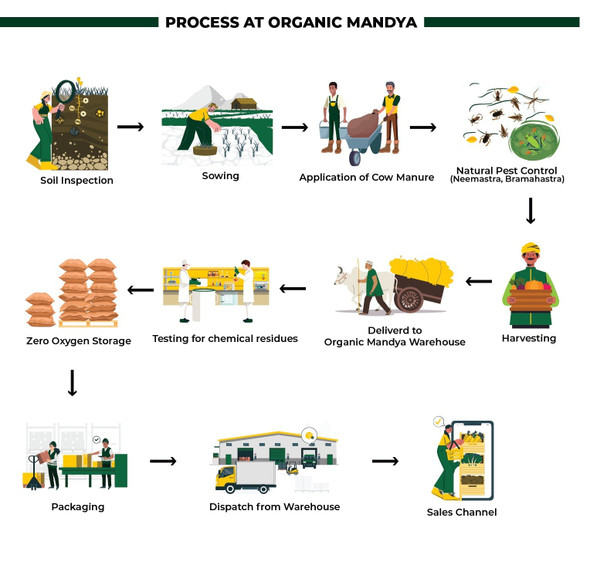 Organic Mandya Organic Hing Powder|25g