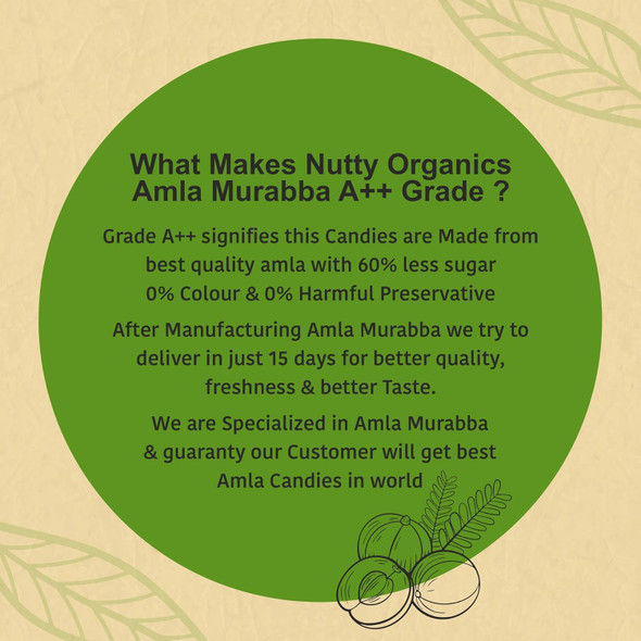 Healthy Master Baked Wheat Mathri (Flax Seed) 250g | No Maida | No Palm Oil | Crispy Crunchy Healthy Snack | 100% Wheat | Namkeen Mathi (Pack of 1)