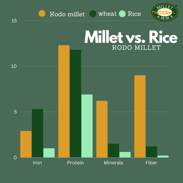 organic Kodo Millet Rava - 500gm | (Arikelu | Hark | Varigu | Kodra | Varagu) | Rich in Fiber and High Protein | Suitable for Multiple Recipes (Upma, Idly) by MILLET AMMA|500gm|1.1 lbs