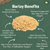 Bajra Ladoo Jar 300 Gms | Ready to Eat | Made with Jaggery | (Pearl Millet Ladoo - Sajjalu, Sajje, Kambu) | No Refined Sugar, No Additional Flavors or Colors, No Preservatives by MILLET AMMA|300gm|0.66 lbs