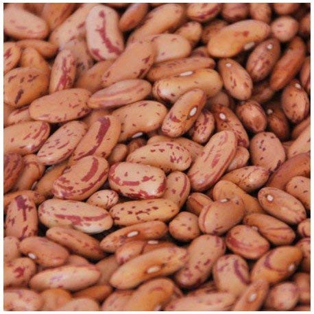 Organic Chitra Rajma by Radha Govind|1000gm|2.2 lbs
