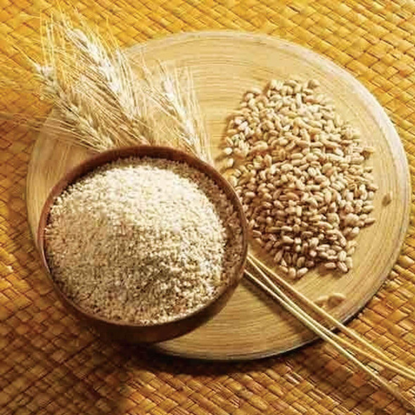 Organic Barley Porridge | Barley Dalia | Jau Ka Daliya by Radha Govind|500gm|1.1 lbs