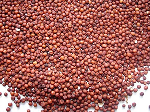 Organic Finger Millet | Ragi Whole | Nachni | Ragulu | Kezhvaragu | Mandua by Radha Govind|1000gm|2.2 lbs