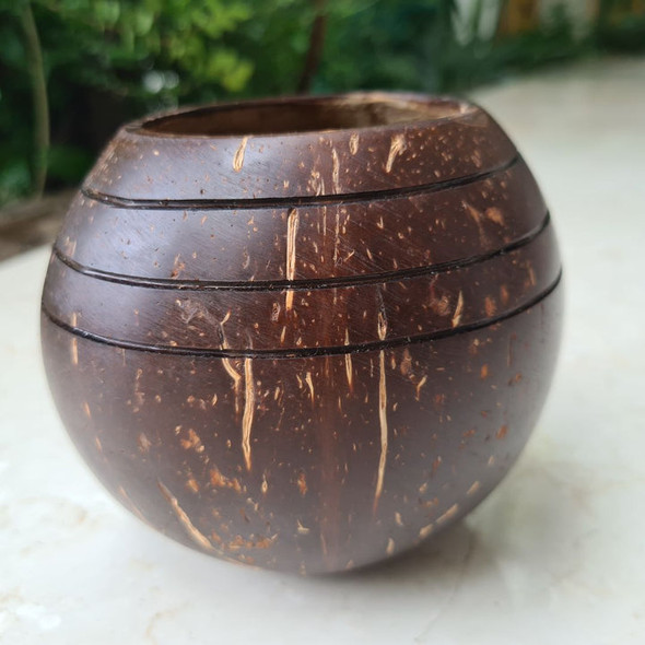 Thenga Triple line Coconut Planter Pot | For Indoor Plants, Succulents set of 1|165gm|0.36 lbs