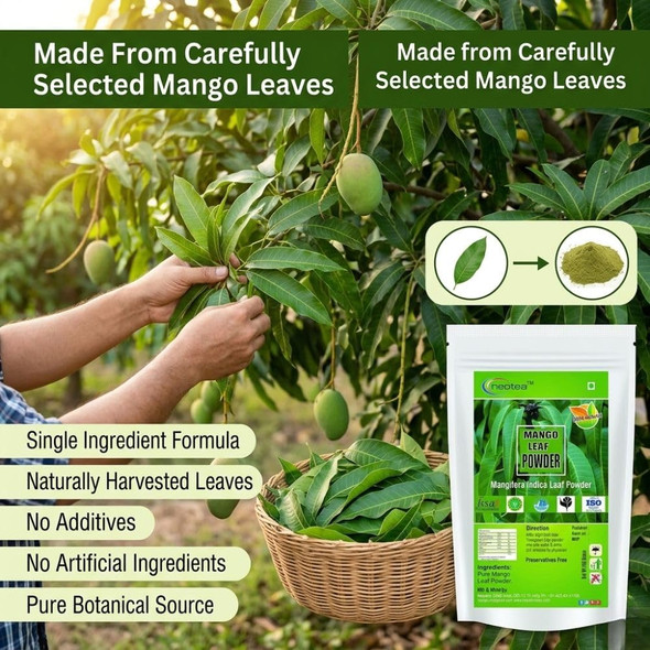 Neotea Pure Mango Leaf Powder |300gm|0.66 lbs