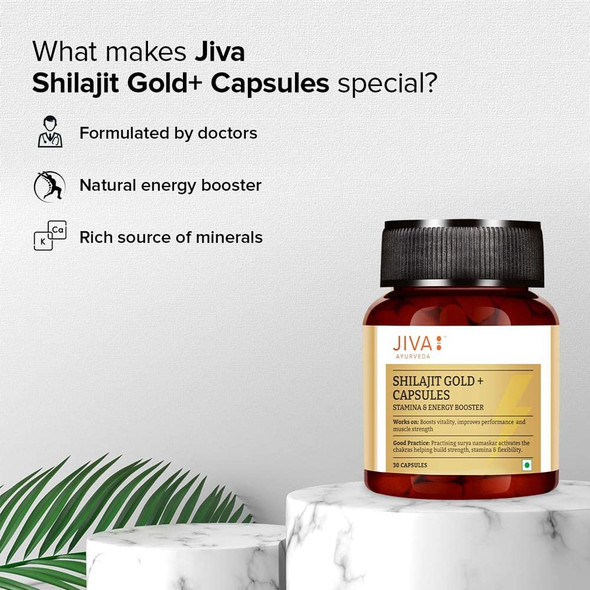 Jiva Gold Shilajit 30 Capsules Pack of 1   |30gm|0.07 lbs