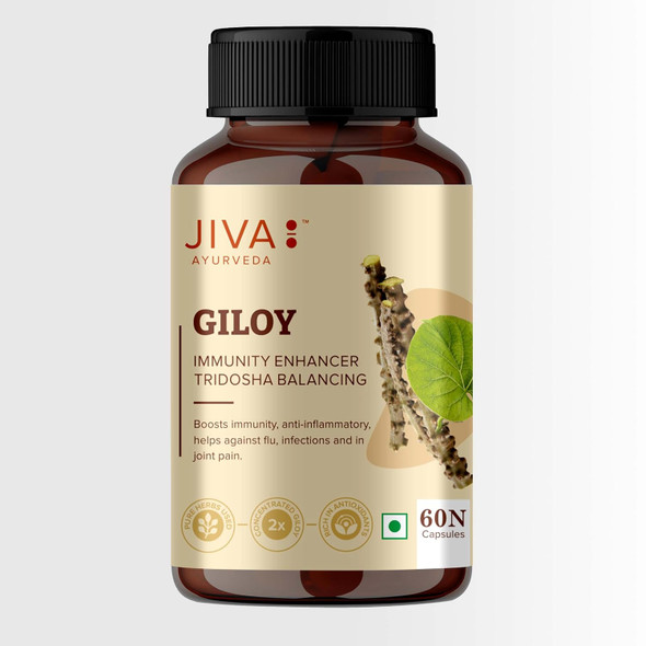 Jiva Giloy - 60 * for Digestion | 1 Capsule Pack of 1   |60gm|0.13 lbs
