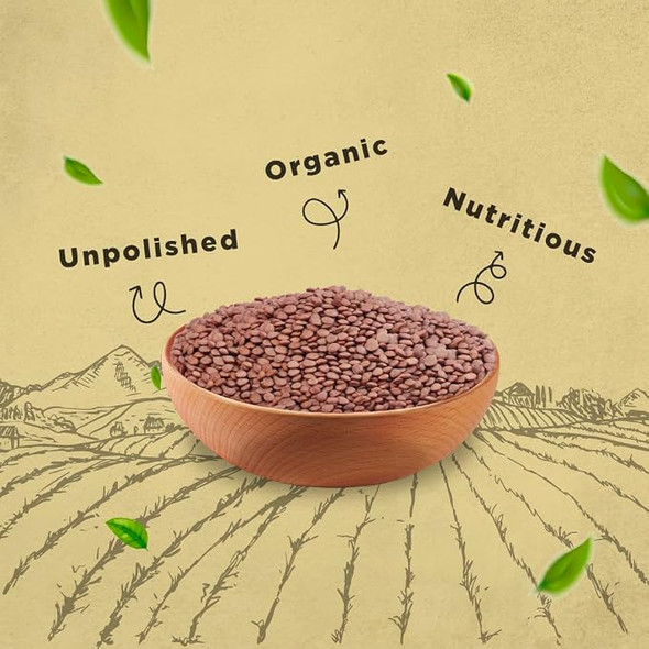 Bharat Organics Unpolished Masoor Sabut|500gm|1.1 lbs