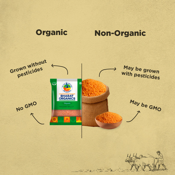 Bharat Organics Unpolished Masoor Dal |500gm|1.1 lbs