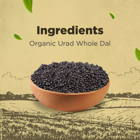 Bharat Organics Unpolished Urad Whole|500gm|1.1 lbs