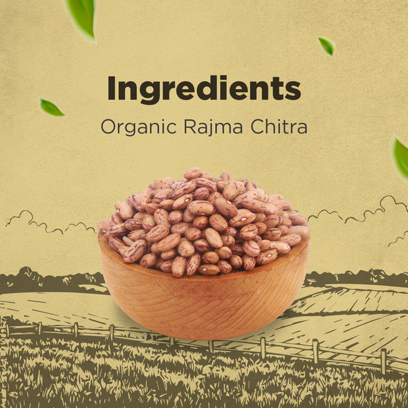 Bharat Organics Rajma Chitra |500gm|1.1 lbs