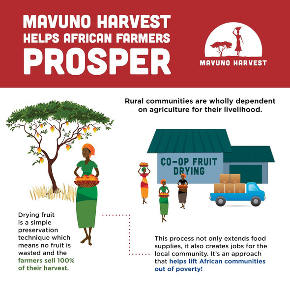 Mavuno Harvest Organic Dried Tropical Mix (Mango, Banana, Pineapple) |56gm|0.12 lbs
