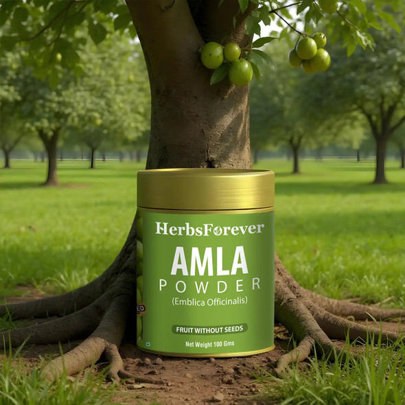 Herbs Forever - Amla Powder Emblica officinalis, Vitamin C & Antioxidants, Supports Healthy Immunity | 100gm | 0.22 lbs