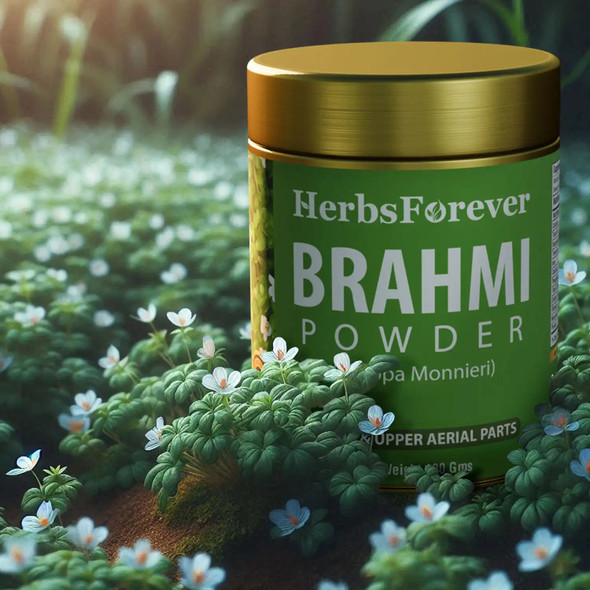 Herbs Forever - Brahmi Powder 100% Pure Bacopa Monnieri I Natural Herbal Supplement | 100gm | 0.22 lbs