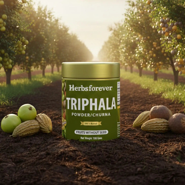 Herbs Forever - Triphala Churna – Traditional Ayurvedic Formulation Supports Detoxification and Rejuvenation | 100gm | 0.22 lbs
