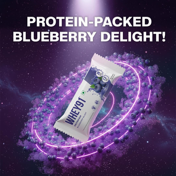 Whey91 - Blueberry Blast –Protein Bar | Protein Snack for Active Lifestyles pack of 6 | 390gm | 0.86 lbs