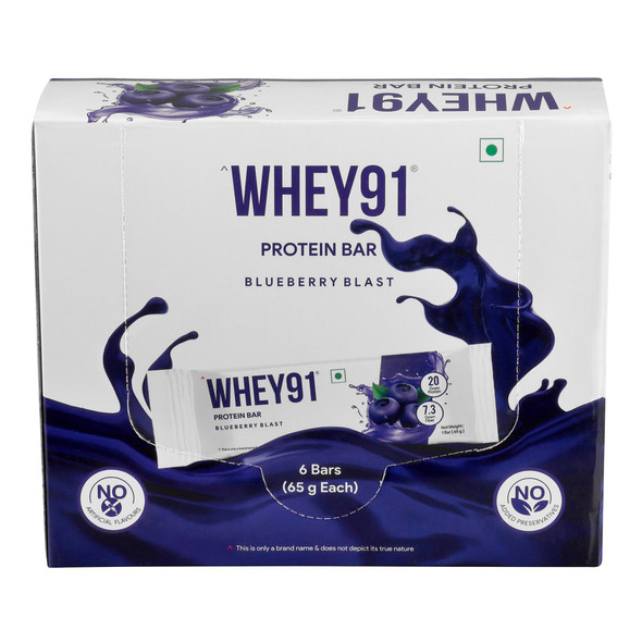Whey91 - Blueberry Blast –Protein Bar | Protein Snack for Active Lifestyles pack of 6 | 390gm | 0.86 lbs