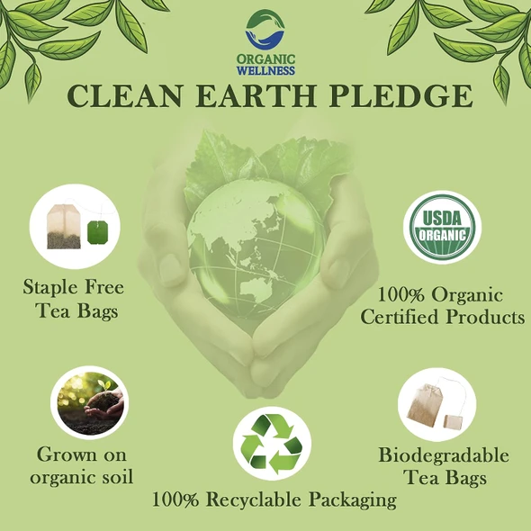 Organic Wellness - Sweet Neem Tea | 92gm | 0.2 lbs