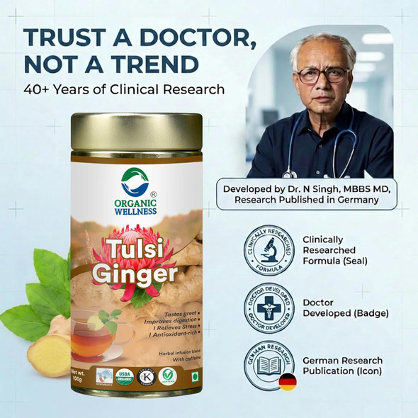 Organic Wellness - Tulsi Ginger Tea | 100gm | 0.22 lbs