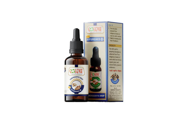 GOSEVA Panchagavya Nasya | 10Ml | 0.34 fl oz [Fittuber Recs]