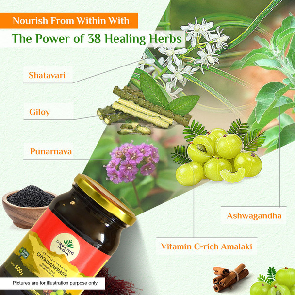 Organic India Chyawanprash 500gm