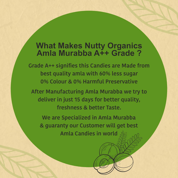 Healthy Master Baked Wheat Mathri (Flax Seed) 250g | No Maida | No Palm Oil | Crispy Crunchy Healthy Snack | 100% Wheat | Namkeen Mathi (Pack of 1) Healthy Master Baked Wheat Mathri (Flax Seed) 250g | No Maida | No Palm Oil | Crispy Crunchy Healthy Snack | 100% Wheat | Namkeen Mathi (Pack of 1)