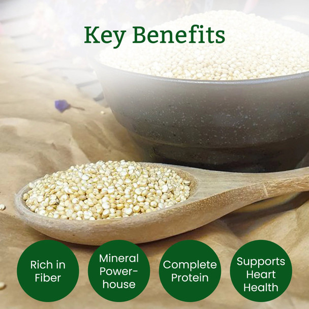 Organic Quinoa by IKAI Organics|500gm|1.1 lbs