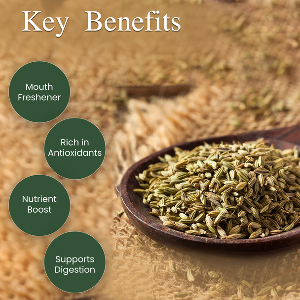 Organic Fennel Seeds by IKAI Organics|100gm|0.22 lbs