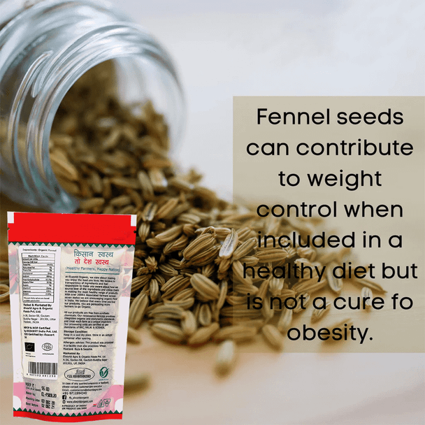 ELWORLD ORGANIC Fennel Seeds by EL WORLD|100gm|0.22 lbs