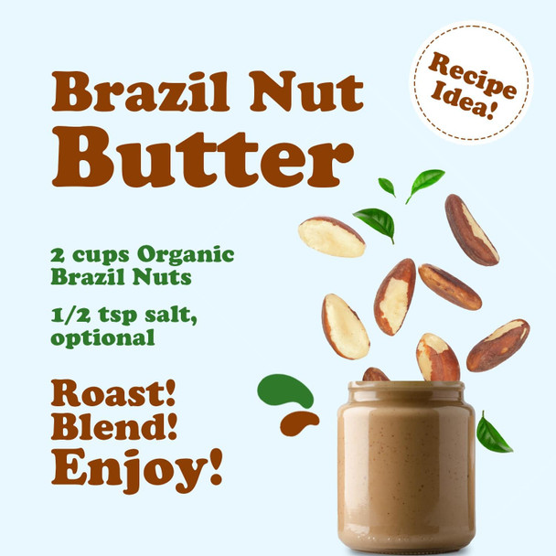 Food to Live Brazil Nuts – Whole, Unsalted, Kosher |227gm|0.5 lbs