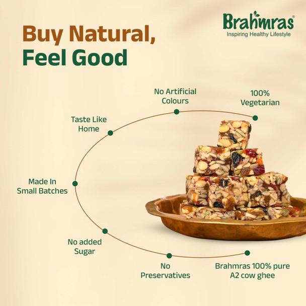 Brahmras Natural  Dryfruit Protein Fun | 500gm | 1.1 lbs