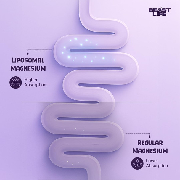 BeastLife - Liposomal Triple Magnesium+ Capsules – Magnesium Glycinate and Oxide Supplement | 61gm | 0.13 lbs