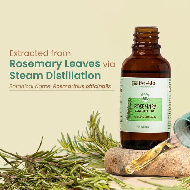 Nat Habit - Pure Rosemary Essential Oil | 15ml | 0.51 fl oz