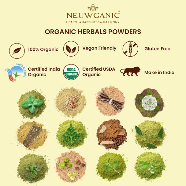 Neuwganic - Organic Mint Leaf Powder | 450gm | 0.99 lbs