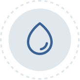 kapha