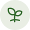 wisdom-icon