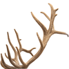 Antler Preservative-VelvaLok