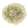 Artificial Lichen