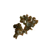 Artificial Seaweed