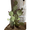 Artificial Loose Leaf Cactus by Hibler Bronze Company