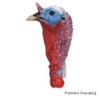 Turkey Heads | by Anthony Eddy