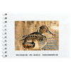 Reference Books-Bird Photo (4x6)