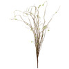 Twig Willow Spray