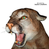 Eyes-Lion-Mountain/Cougar (Live-white banded)