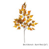 Birch Branches