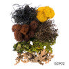 Moss Mix