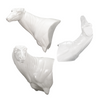 Mule Deer | SB (Wall Pedestal)