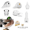 Bird Heads | Original Series by Wildlife Illusions