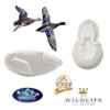 Bird Bodies | Summit Series by Wildlife Illusions