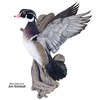 Bird Bodies | Summit Series by Wildlife Illusions